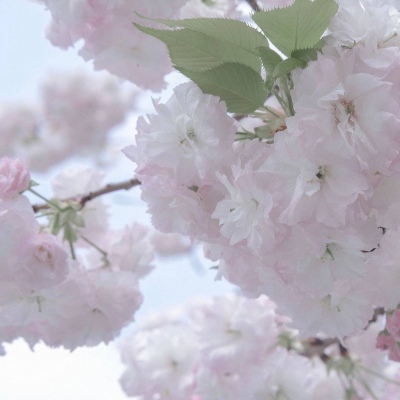 兽设Q版设计教程兽圈群